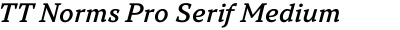 TT Norms Pro Serif Medium Italic